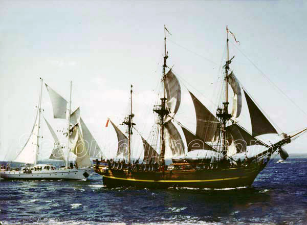 HMAV Bounty, Bounty, HMS Bounty, Chi Ming, Spirit of Adventure, Spirit of the Pacific ID 5899