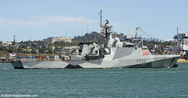 HMS Tamar ID 13387