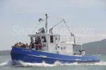 ID 5119 GLADIATOR - Originally built in Auckland this steel hulled tug  has served her time mainly in the Pacific Islands. She is a near sister vessel to Thomson Towing MANUKAU. She is seen here taking part...