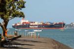 ID 11965 LONDON EXPRESS (1998/53523grt/66577dwt/IMO 9143568) after a Pacific crossing from Long Beach, California, rounds North Head on arrival in Auckland. She is owned and managed by Hapag-Lloyd of Hamburg,...