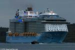 ID 10782 OVATION OF THE SEAS (2016/168666grt/IMO 9697753/348m loa) - the largest ship to ever visit New Zealand, slides into Auckland at the crack of another grey summer dawn. Too large to berth at any wharf...