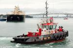 ID 8083 P.T. MARY (2012/54grt) a 15m harbour tug with 17 tonne bollard pull constructed by Ship Co Marine Constructors Ltd of Whangarei, New Zealand. She's a sister ship to P.T. MAY which was also built for...