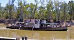 ID 8539 PEVENSEY - seen here plying the waters of the Murray River at Echuca in Victoria, Australia, she was built in 1910 at Moama as the barge MASCOTTE. 