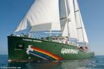 ID 8541 RAINBOW WARRIOR (3) [2011/855grt/IMO 9575383] the third vessel to carry the name and current flagship of the Greenpeace organisation glides serenely through the glassy waters of the Hauraki Gulf,...