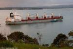 ID 9810 SELINDA (2013/24341grt/34236dwt/IMO 9607459) made her maiden call at Auckland, New Zealand berthing at the Chelsea Sugar Refinery after a passage from Bundaberg in Queensland, Australia. She is owned...