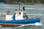 ID 7550 GLADIATOR - Originally built in Auckland this steel hulled tug has served her time mainly in the Pacific Islands and is a near sister to Thomson Towing's MANUKAU. Her crew were to later prove their...