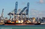 ID 12018 Mediterranean Shipping's MSC ADITI (2002/27779grt/39418dwt/2824TEU/IMO 9235581, ex-TASANEE, POS LONG BEACH, ENGIADINA, NORASIA ENGIADINA) alongside the northern berth of Auckland's Fergusson Terminal....