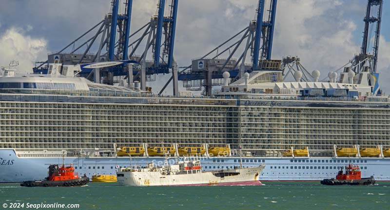 Chokyo Maru No. 68, Turihaua, Christine Mary, Ovation of the Seas 8809218 ID 13491