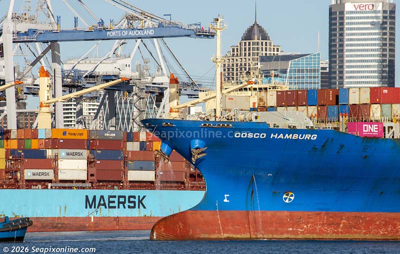 Cosco Hamburg 9221085 ID 14686