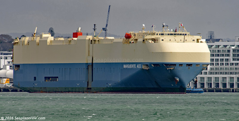 Marguerite Ace 9426386 ID 14739