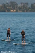 ID 8016 Paddleboard riders enjoying a quiet and sunny autumn morning and calm waters on the Waitemata Harbour, Auckland