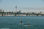ID 8017 Paddleboard riders enjoying a quiet and sunny autumn morning and calm waters on the Waitemata Harbour, Auckland
