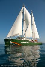 ID 8520 RAINBOW WARRIOR (3) [2011/855grt/IMO 9575383] the third vessel to carry the name and current flagship of the Greenpeace organisation glides serenely through the glassy waters of the Hauraki Gulf,...