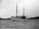 ID 10044 RANUI (1936) was built by whaling Captain Korinius Larsen at Port Pegasus on Stewart Island, NZ. She has had a varied career including periods where she was a spy ship, an oyster boat ........and even...