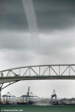 ID 7693 WATERSPOUT - On yet another day typical of the Auckland 2011-12 summer, waterspouts formed over many parts of the harbour. This one touched down on the harbour moments after the bulk carrier CLEANTEC...