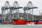 ID 11489 ZHEN HUA 25 (1988/38255grt/49099dwt/IMO 8700242, ex-YELLOW SEA) - says goodbye following a successful delivery of three new ZPMC container cranes to Ports of Auckland.